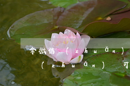 拿微信轉(zhuǎn)賬能起訴嗎(有微信轉(zhuǎn)賬可以起訴嗎?勝算率高嗎)