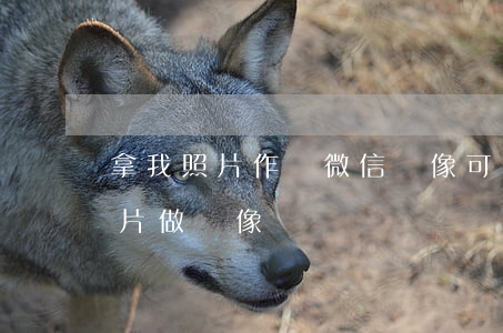 拿我照片作為微信頭像可以起訴么-拿我照片做頭像