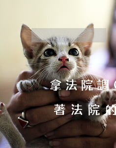 拿法院調(diào)解書可以啟戶口嗎(拿著法院的調(diào)解書可以直接過戶嗎)