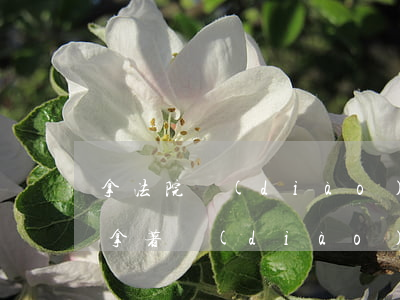 拿法院調(diào)解書可以直接過戶嗎(拿著調(diào)解書過戶 需要當(dāng)事人到場(chǎng)嗎)
