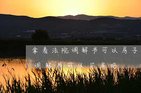 拿着法院调解书可以房子贷款吗(法院的离婚调解书可以买房吗)