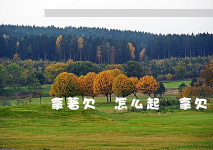 拿著欠條怎么起訴(拿欠條起訴流程)