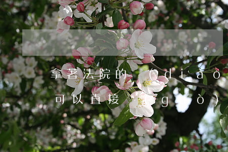 拿著法院的調(diào)解書(shū)可以直接過(guò)戶嗎(憑法院的調(diào)解書(shū)可以直接房屋過(guò)戶嗎)