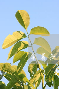 拿著身份證可以去法院查卷宗嗎(當(dāng)事人可以去法院查詢卷宗嗎)