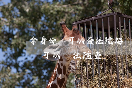 拿身份證可以查法院起訴嗎(起訴沒有身份證號可以讓法院查嗎)