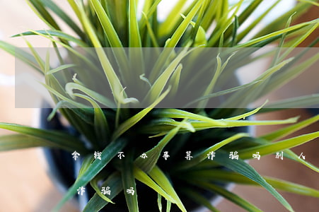 拿钱不办事算诈骗吗(别人给钱办事没办成是诈骗吗)