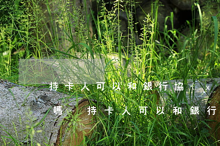 持卡人可以和銀行協(xié)商分期還款嗎-持卡人可以和銀行協(xié)商分期還款嗎