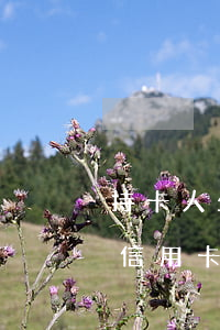 持卡人坐牢逾期多久會(huì)被起訴(欠信用卡被起訴,多久后會(huì)被強(qiáng)制)