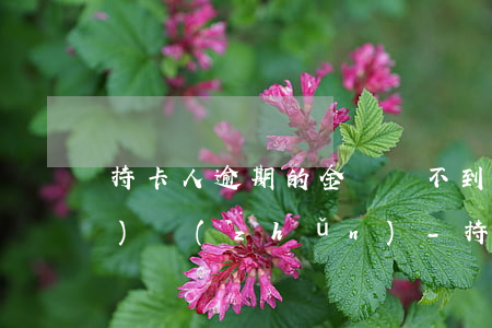 持卡人逾期的金額達不到立案標(biāo)準(zhǔn)-持卡人逾期的金額達不到立案標(biāo)準(zhǔn)怎么辦