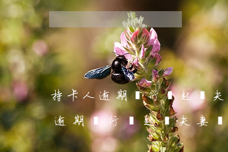 持卡人逾期銀行會起訴夫妻雙方嗎-持卡人逾期銀行會起訴夫妻雙方嗎知乎