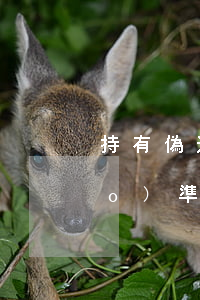 持有偽造的發(fā)票罪立案標(biāo)準(zhǔn)_2021持有偽造的發(fā)票罪量刑標(biāo)準(zhǔn)和認(rèn)定構(gòu)成要件