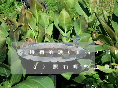 持有的護(hù)照過期怎么辦（辦理護(hù)照有哪些注意事項）