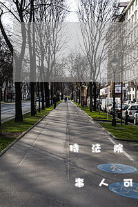 持法院調(diào)查令當(dāng)事人可以嗎(律師可以持法院調(diào)查令調(diào)查嗎)