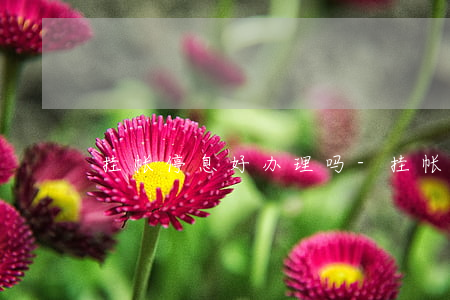 挂帐停息好办理吗-挂帐停息好办理吗