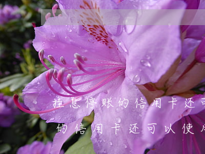 挂息停账的信用卡还可以使用吗-挂息停账的信用卡还可以使用吗安全吗