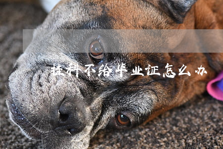 挂科不给毕业证怎么办