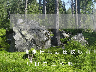 挂账停息后还收取利息吗(什么叫停息挂账每月也要还款吗)