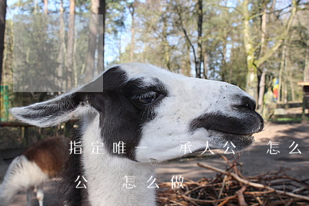 指定唯一繼承人公證怎么做(指定唯一繼承人公證怎么做)