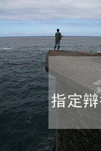 指定辩护存在哪个诉讼阶段