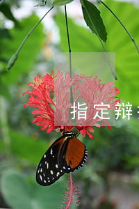指定辩护适用的情形有哪些
