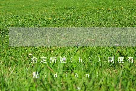 指定辯護(hù)制度有哪些優(yōu)點(diǎn)