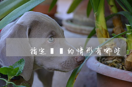 指定辯護的情形有哪些