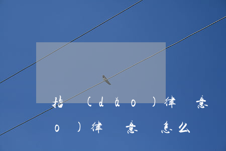 指導(dǎo)律師意見怎么寫(指導(dǎo)律師意見怎么寫)