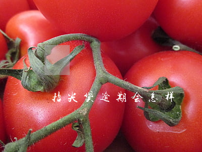 指尖贷逾期会怎样
