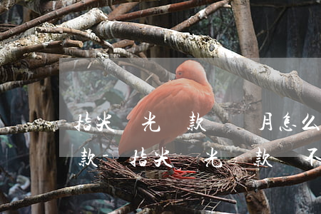 指尖陽光貸款兩個月怎么協(xié)商還款-指尖陽光貸款還不起了怎么辦