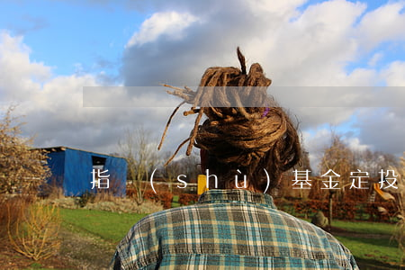 指數(shù)基金定投再受追捧