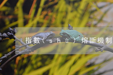 指數(shù)熔斷機制是什么意思