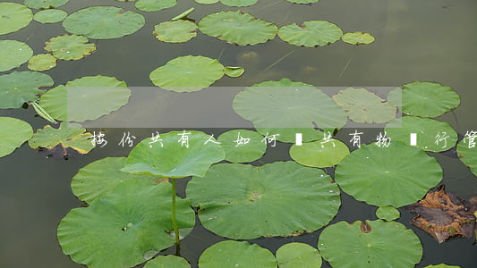 按份共有人如何對共有物進行管理