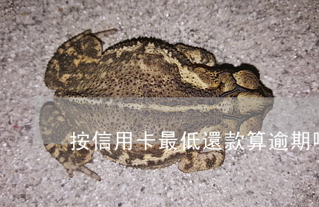 按信用卡最低還款算逾期嗎