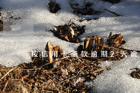 按信用卡還款逾期2天(逾期兩天還信用卡)