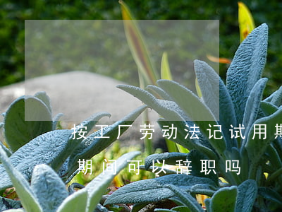 按工厂劳动法记试用期可以辞职吗(劳动试用期间可以辞职吗)