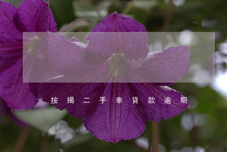 按揭二手車貸款逾期