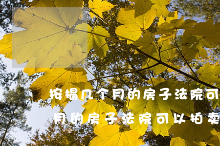 按揭几个月的房子法院可以拍卖吗(按揭几个月的房子法院可以拍卖吗)