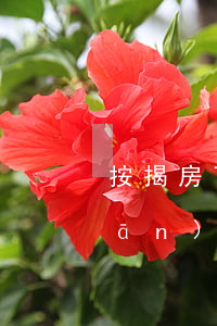 按揭房可以在法院擔(dān)保嗎(擔(dān)保人按揭房會(huì)被執(zhí)行嗎)