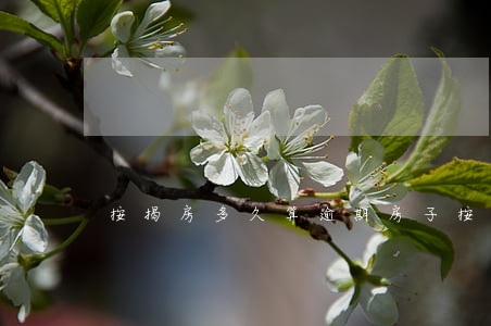 按揭房多久算逾期 房子按揭可以逾期幾天