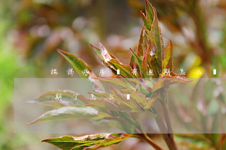 按揭房房貸有逾期怎么賣(用房子抵押貸款逾期了怎么辦)