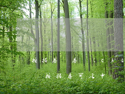 按揭房沒房產(chǎn)證法院可以保全嗎(按揭房可以申請財產(chǎn)保全嗎)
