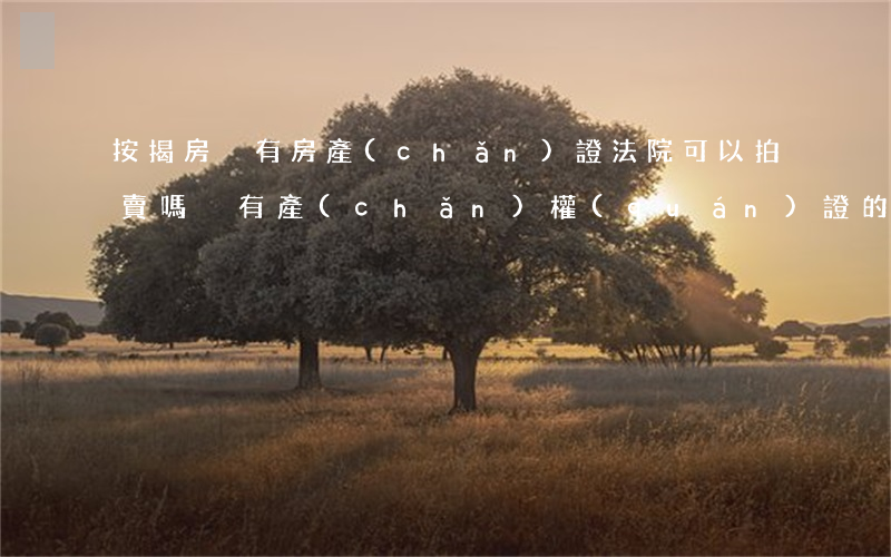 按揭房沒有房產(chǎn)證法院可以拍賣嗎(沒有產(chǎn)權(quán)證的房子法院可以拍賣嗎)