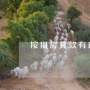 按揭房貸款有逾期(房子貸款逾期了,怎么辦啊)