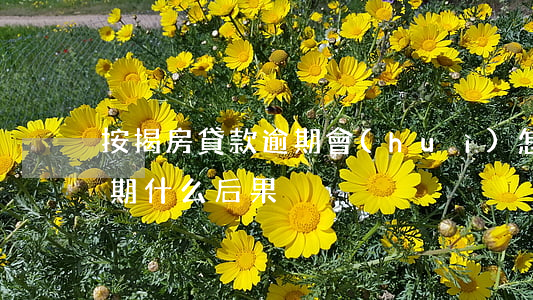 按揭房貸款逾期會(huì)怎么樣(房貸逾期什么后果)