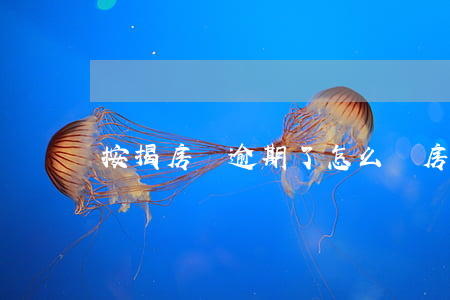 按揭房貸逾期了怎么辦 房貸逾期怎么辦?
