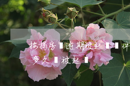 按揭房貸逾期被起訴條件(房子抵押貸款逾期多久會被起訴)