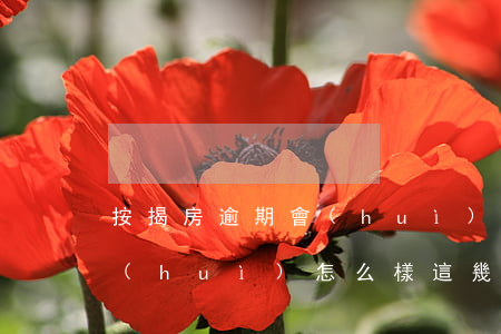 按揭房逾期會(huì)怎么樣(房貸逾期會(huì)怎么樣?這幾個(gè)結(jié)果太可怕了!)