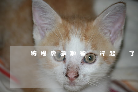 按揭房逾期被銀行起訴了開(kāi)庭