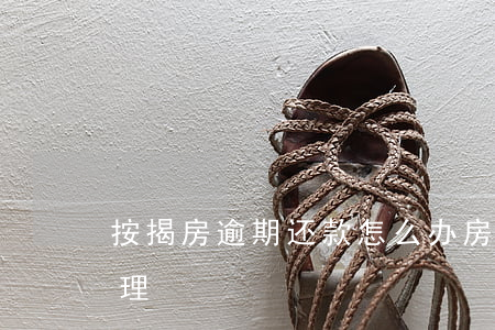 按揭房逾期还款怎么办(房子按揭逾期怎么处理)