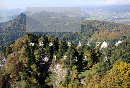按揭房還款后有逾期(有過逾期記錄但是房貸還清了可以再貸款嗎)